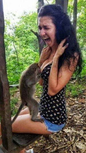 Girls Tits Sucking Monkey - Girl Boob Suck Monkey | Sex Pictures Pass