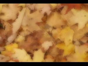 exotic japanese whores - Incredible JAV censored porn movie with exotic japanese whores | Txxx.com