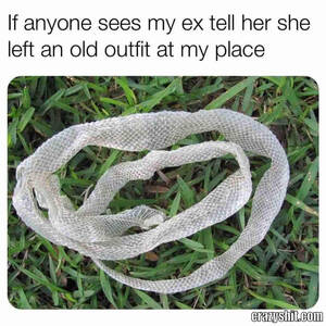 Crazy Ex Girlfriend Meme Porn - CrazyShit.com | ex-girlfriend memes - Crazy Shit