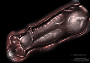 Cartoon Porn Cervix Orgasm - Rule 34 - animated barbed penis barbs black background cervical penetration cervix  cum cum in pussy cum in uterus cum inside dark nek0gami deep penetration  disembodied penis ejaculation female gami cross impregnation