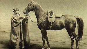 Hairy Pussy At Nudist Colony - Who is Lady Anne Blunt, the most famous person whose name is associated  with the purebred Arabian horse? - Ù…ÙˆÙ‚Ø¹ Ø§Ù„Ø®ÙŠÙ„ Ø¯ÙˆØª ÙƒÙˆÙ…