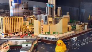 Lego China Porn - Johnny Tam