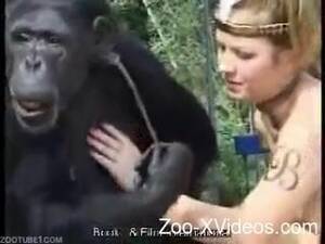 Monkey Pussy Porn - Monkey licks a pussy of a dirty-minded zoophile