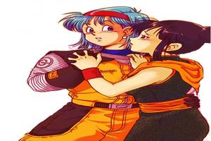 Dragon Ball Z Lesbian Porn - Dragon Ball Z -What If Bulma Had Sex With Chi Chi? Lesbian Couple?