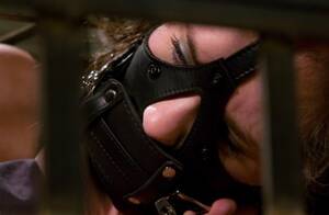 muzzle porn - Muzzle Gag Porn Pics & Naked Photos - PornPics.com