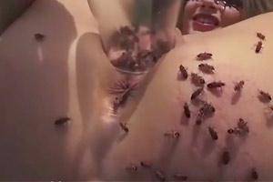 Hammer Pussy Insertion - Insect Pussy Torture