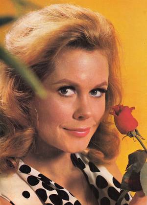 Elizabeth Montgomery Animated Porn - Elizabeth Montgomery, Tv Land, Movie Stars, Gorgeous Women, Famous People,  Witch, Nostalgia, Cinema, Actresses