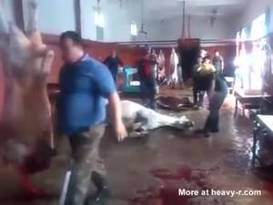 hrses xxx anal videos - One Man One Horse Muslim VÄ±ctÄ±m