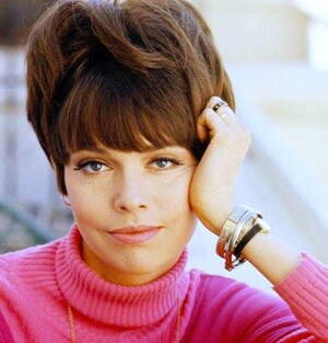 Barbara Feldon Nude - The Hair Hall of Fame: Ladies and gentlemen, Miss Barbara Feldon...