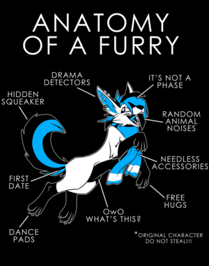 Furry Anatomy Porn - \