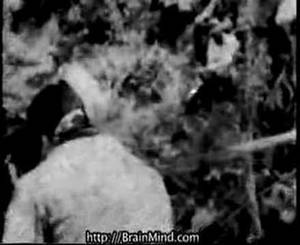 asian war sex - Rape of Nanking Part I Atrocities in Asia Nanjing Massacre