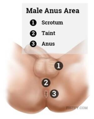 anal fisting tutorial - Anal Fisting Guide 101 ðŸ‘ŠDefinition, tips, tutorial and Videos FISTFY.COM