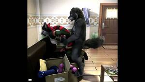 Bonage Porn Cartoon Toy - Watch Furry bondage sex - Porn, Furry Animation, Toy Porn - SpankBang