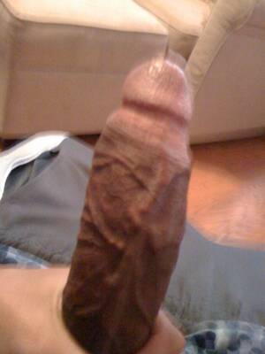 huge black bull dick - Black Bull With Huge Cock - Amateur Interracial Porn