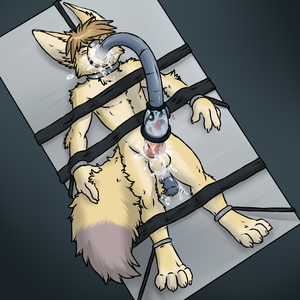 Furry Porn Male Orgasm - Furry Porn Forced Orgasm | BDSM Fetish