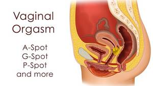 How To Find The G Spot - Jack daniel fucking