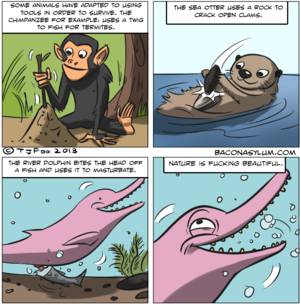 nature cartoon porn - dolphin porn cartoon