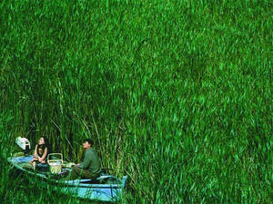 graphic asian sex - Sexiest Asian films to watch â€“ Time Out Hong Kong