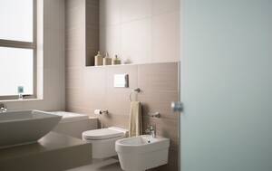 Bidet Porn Female - TIL a bidet is considered a key green technology and uses significantly  less water, electricity, and wood than a single roll of toilet paper :  r/todayilearned