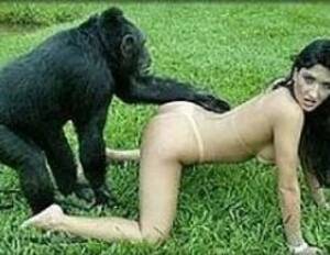 Girls Having Sex With Monkeys - Girl fucked by a real monkey . Sex photo.
