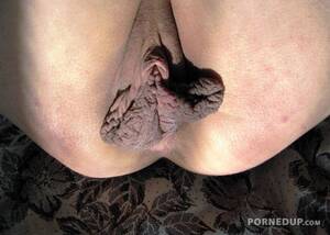 ebony roast beef pussy - Roast beef pussy - Porned Up!