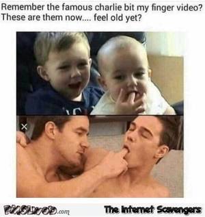 Humor Funny Porn Memes - Remember the famous Charlie bit my finger video funny porn meme