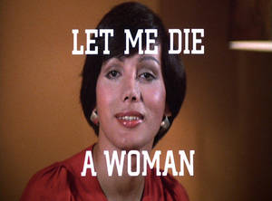 Anoword Porn Ellen - Let Me Die a Woman (dir. Doris Wishman, 1977)