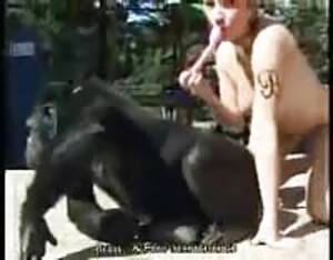 Girl Fucks Chimpanzee - Chimpanzee - Extreme Porn Video - LuxureTV