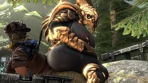 Furry Porn Halo - 3d Yiff by Rayhuma Straight Furry Porn Sex E621 FYE Halo R34 Rule34  shangheili alien girl watch online or download