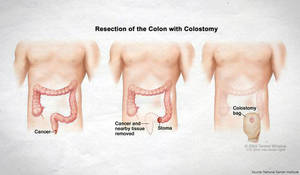 excessive anal sex - daytime puke anyone Son Blackmails Mom For Anal the Vacuum