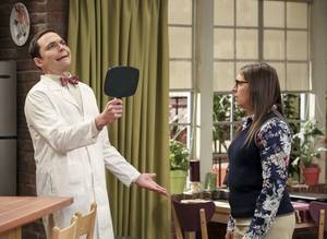 Alice Amter Big Bang Theory Porn - The Big Bang Theory 11x6, \