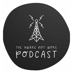 illinois black porn - TX, UFO are a distraction, Illinois city and pathetic Gov, ABC Journalist  headed to prison for child porn, Chaos in Haiti and Niger | The Awake Not  Woke Podcast