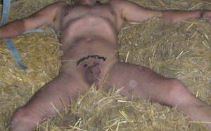 Man Fucks Female Monkey - sex sexy of irland