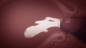 hentai cross section cumshots - more hentai - internal view, x-ray, crosssection | MOTHERLESS.COM â„¢