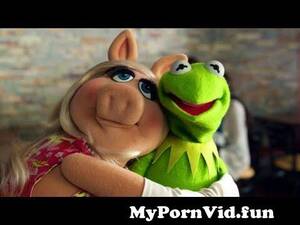 Muppets Miss Piggy Hentai Porn - Kermit The Frog and Miss Piggy Funny The Muppets Commercials EVER! from  kermit and piggy hentai Watch Video - MyPornVid.fun
