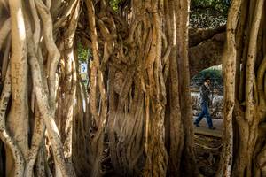 American Dad Lisa Silver Porn - American dad lisa silver porn xxx - Tragedy made steve kerr see the world  beyond the