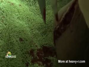 Anime Eye Ball Penetration Porn - Kitchen Counter Self Castration