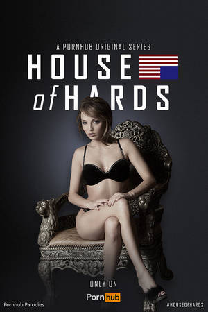 Big House Of Porn - The Big Bang Theory