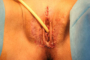 male to female transgender pussy - ... Maury povich transsexual