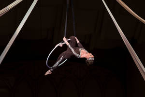 Aerial Silk Trapeze Porn - PERFORMANCES