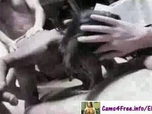 black kiwi gang bang - Ebony Hot Black Girl Kiwi Sweet Gangbang! : XXXBunker.com Porn Tube