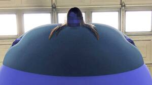 Berry Girl Porn - The Juicy, Round World of Blueberry Porn