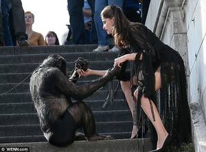 Chimpanzee Sex - Student of virginity