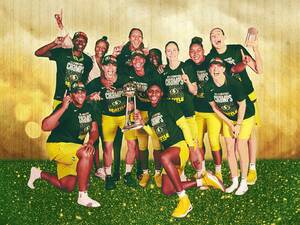 Elena Delle Donne Fucked In Pussy - The Seattle Storm Look Like the Next Great Sports Dynasty - The Ringer