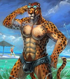 Anthro Beach Porn - e621 abs anthro beach beach_umbrella biceps body_hair bulge canine cheetah  cheetahpaws cheetahpaws_(character) clothed
