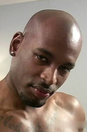 Black Gay Porn Star Flash Brown - FLASH BROWN, gay porn star from Universblack