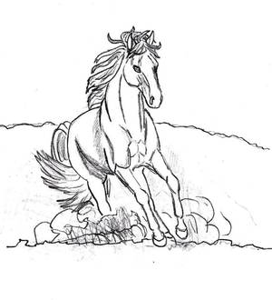 Gay Porn Color Pages - Horses printable coloring pages