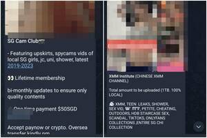 Forced Public Sex Porn - Telegram channels offer explicit sex videos, photos for a fee in similar  vein to SG Nasi Lemak | The Straits Times
