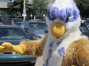 Furry Convention Extreme Adult Porn - Mark Hill