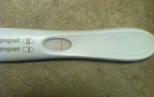 Fertility Pills Porn Furry - xTJjiBxhSI6GJZoDjnQHEz3JqTMyEs8q_lg.jpg